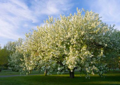 sur-la-route-des-jardins-11-les-productions-rivard