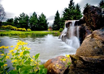 sur-la-route-des-jardins-12-les-productions-rivard