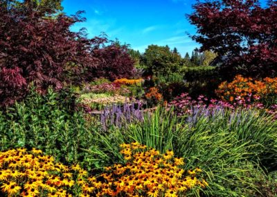 sur-la-route-des-jardins-14-les-productions-rivard