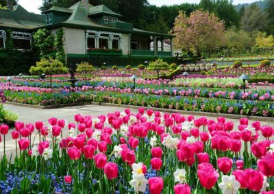 sur-la-route-des-jardins-16-les-productions-rivard