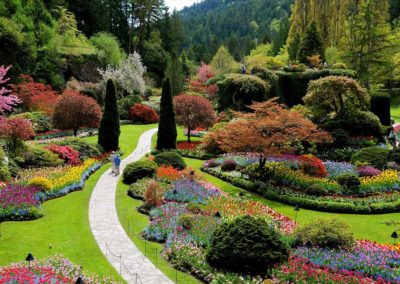sur-la-route-des-jardins-17-les-productions-rivard
