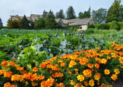 sur-la-route-des-jardins-18-les-productions-rivard